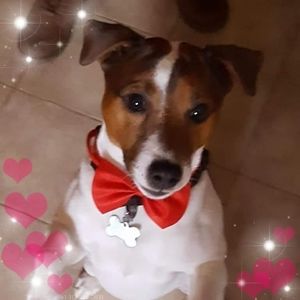 Meet your Posher, Toni